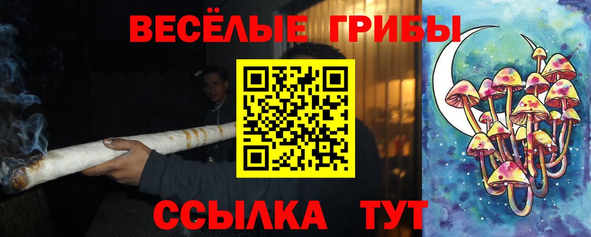 Псилоцибиновые грибы мухоморы Сокол